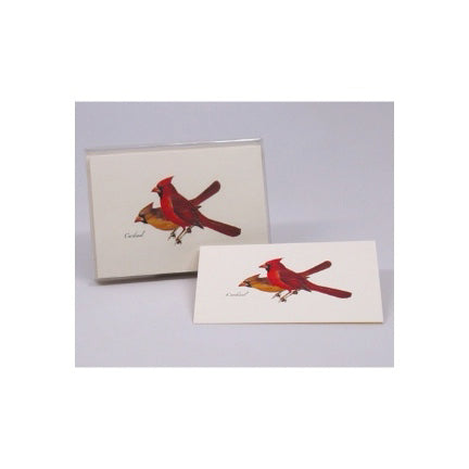 Boxed Notecards: Cardinal