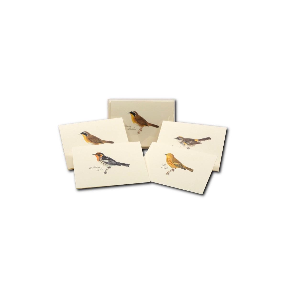 Boxed Notecards: Peterson Warblers Assorted