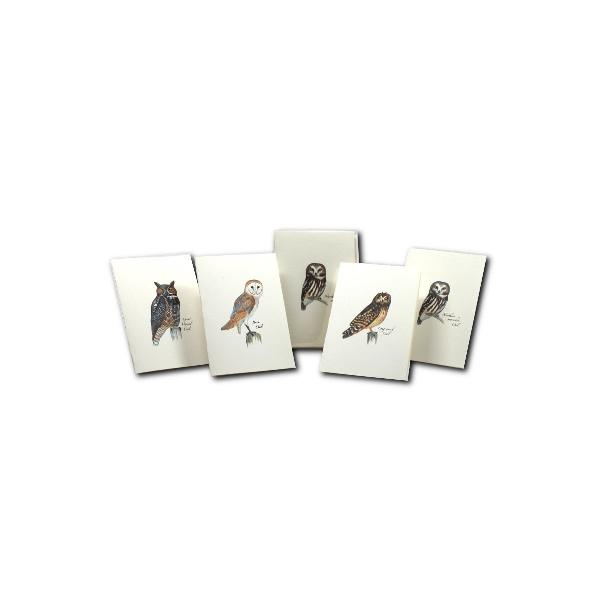 Boxed Notecards: Sibley Owl Assorted