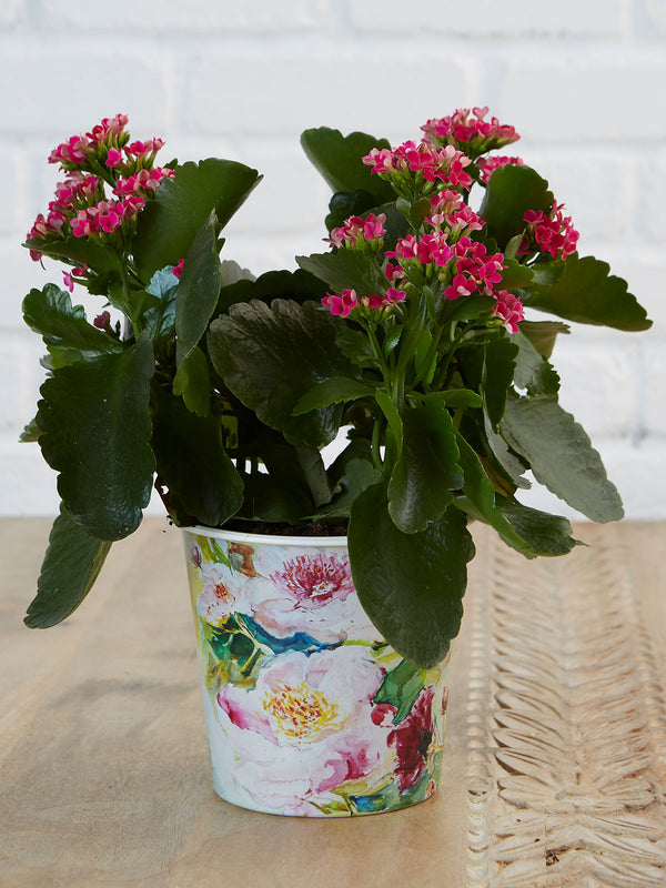 Peony Bucket