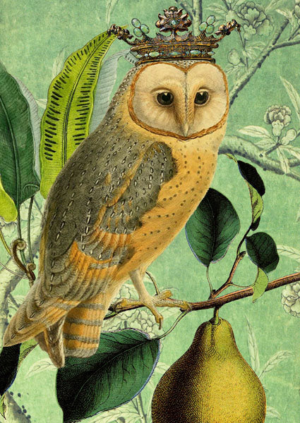 The Owl & the Pear Card