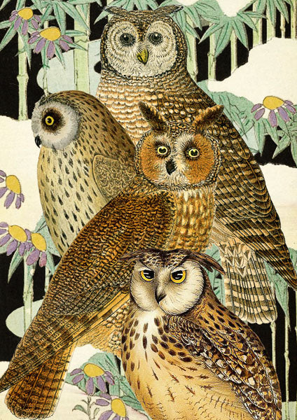 Owls in the Japanese Garden Card