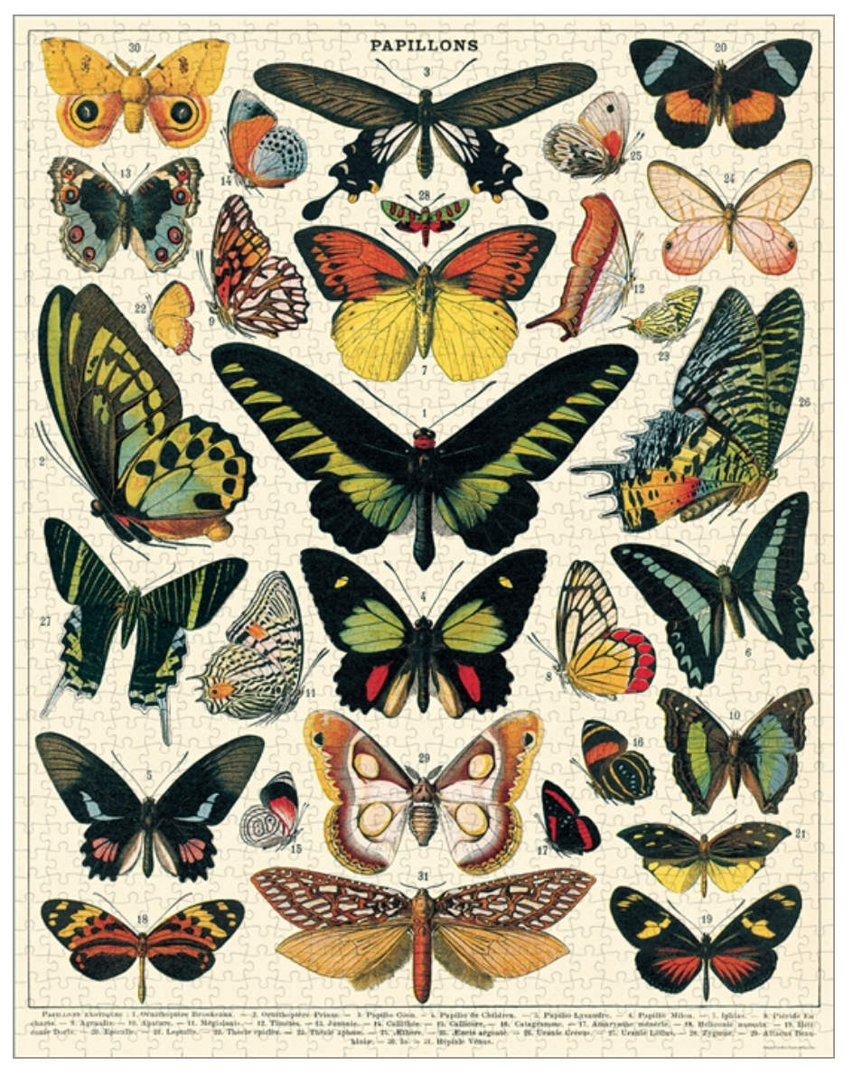 Cavallini 1000 piece Vintage puzzle - Butterflies