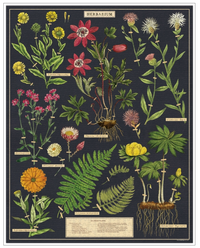 Cavallini 1000 piece Vintage puzzle - Herbarium