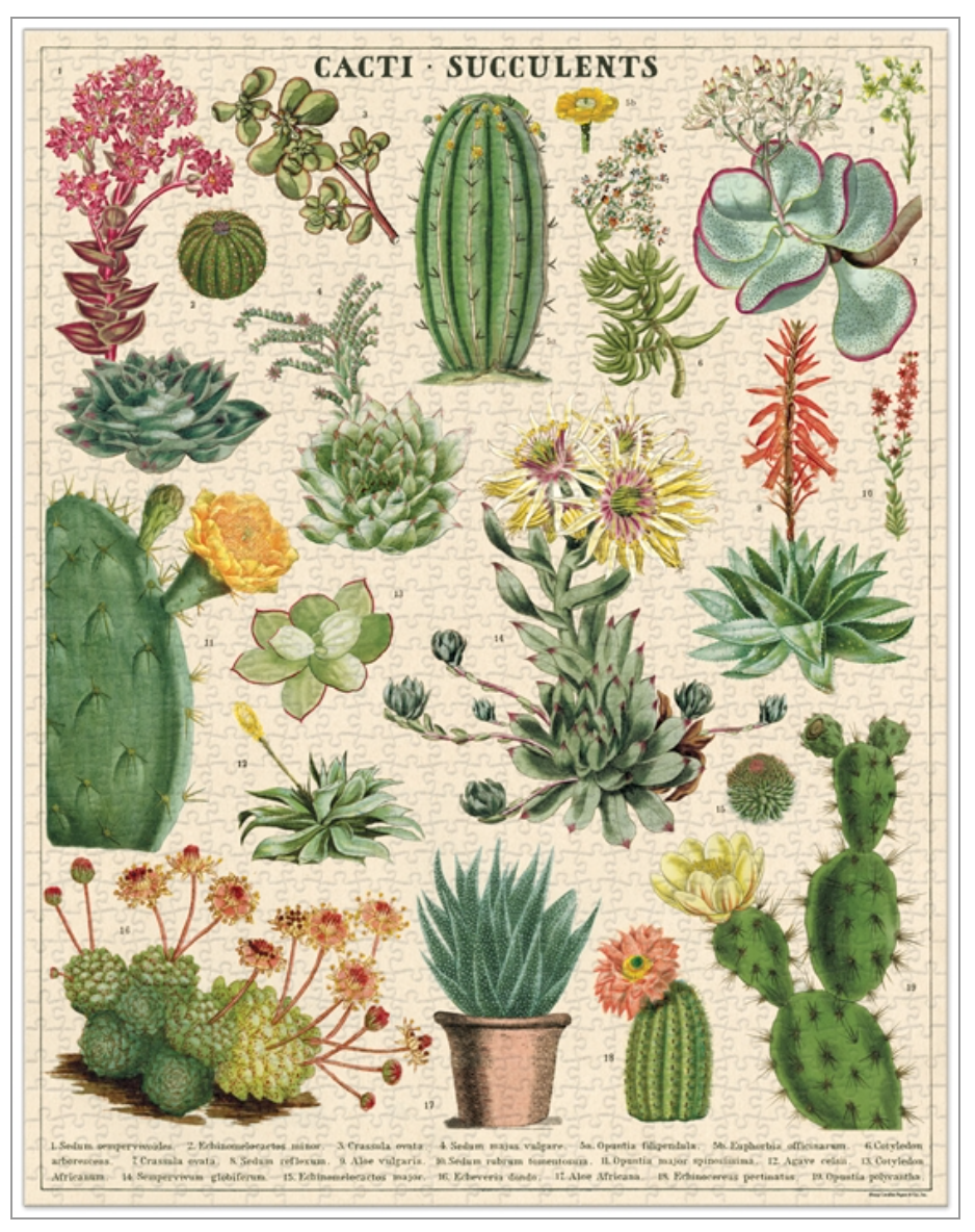 Cavallini 1000 piece puzzle- Cacti & Succulents