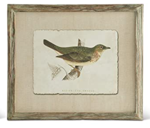 Assorted Bird Prints in Rustic Frame