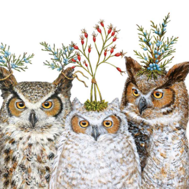 Owl Napkins