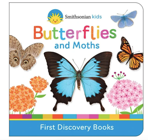 Butterflies and Moths Kids Book
