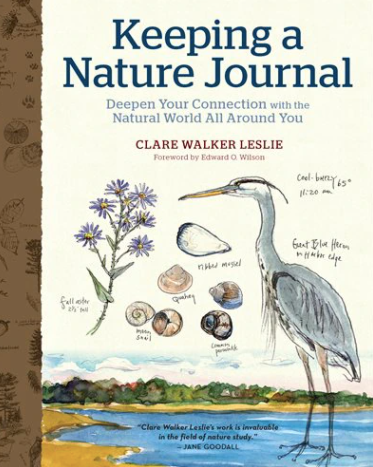 Keeping a Nature Journal Book