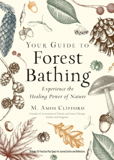 Your Guide to Forest Bathing Book