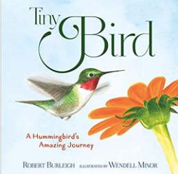Tiny Bird Book