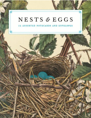 Nest & Eggs Notecards - 12 Pack