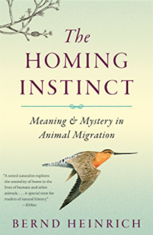 The Homing Instinct Book