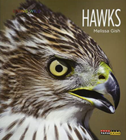 Living Wild: Hawks Book
