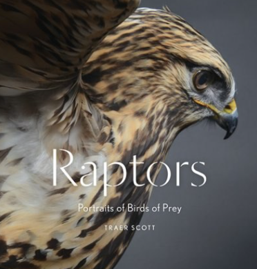 Raptors: Portraits of Birds of Prey