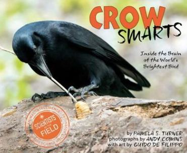 Crow Smarts : Inside the Brain of the Worlds Brightest Bird
