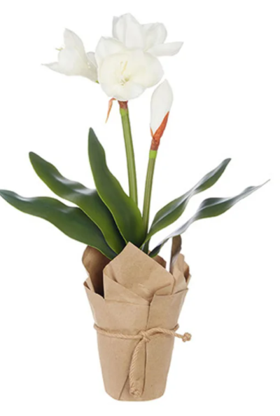 24" Real Touch Potted White Amaryllis