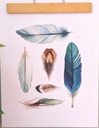 Feathers Print