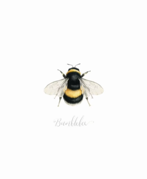 Bumblebee Card