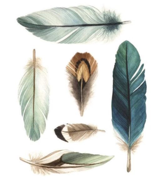 Feathers Card