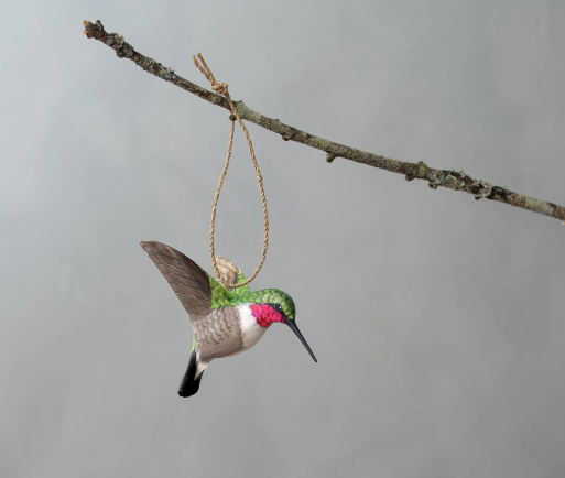 Aviologie Hanging Hummingbird