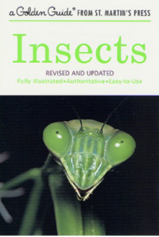 Insects Guide Book