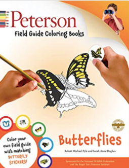 Peterson Colouring Butterflies Book