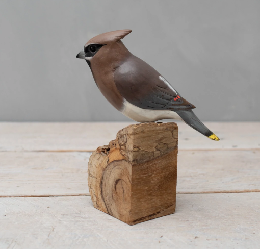 Cedar Waxwing 8" High