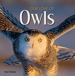 Our Love of Owls Book