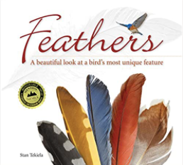 Feathers Book