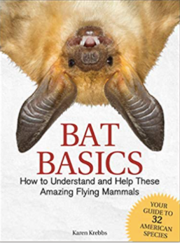 Bat Basics Book