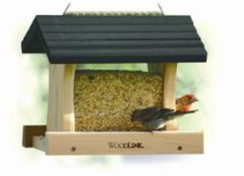 Small Green Roof Feeder