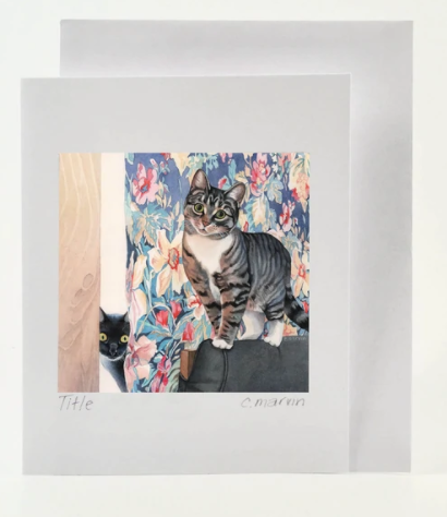 Window Kitties Card