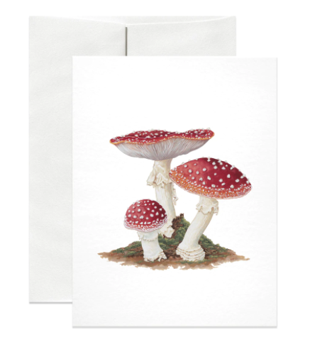 Amanita Muscaria Mushroom Card
