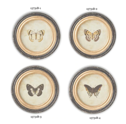 Assorted Butterfly Prints