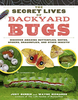 The Secret Lives of Backyard Bugs Book