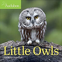 Little Owls Mini Wall Calendar