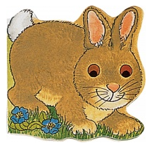 Pocket Bunny Book