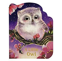 A Little Owl Book