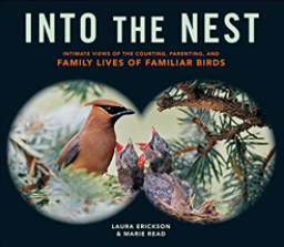 Into the Nest Book