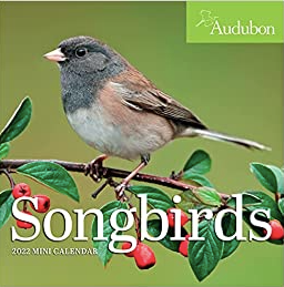 Songbirds 2022 Mini Wall Calendar
