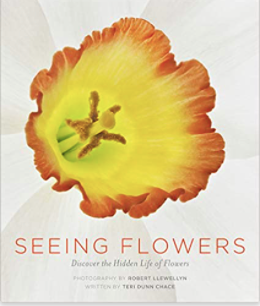 Seeing Flowers Book
