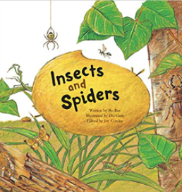 Insects and Spiders Book