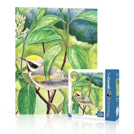 Golden-Winged Warbler Mini Puzzle