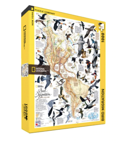 Bird Migration Puzzle