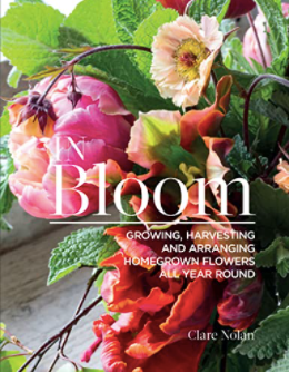 In Bloom Book