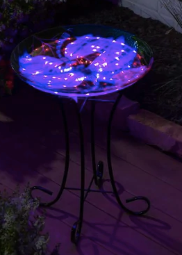 Solar Hand Painted Floral Embossed Glass Bird Bath with stand