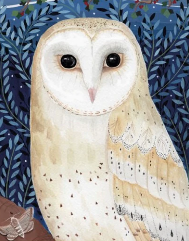 Moonlit Owl Card
