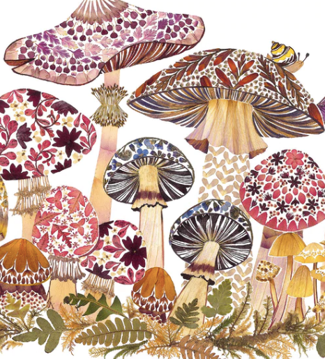 Fabulous Funghi Card