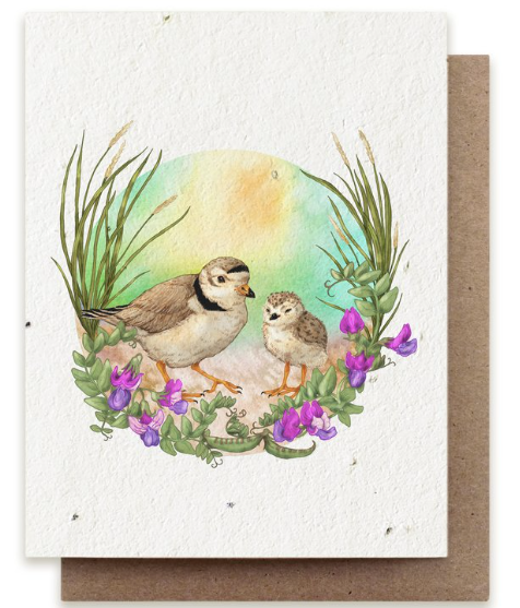 Summer Plovers Plantable Wildflower Card